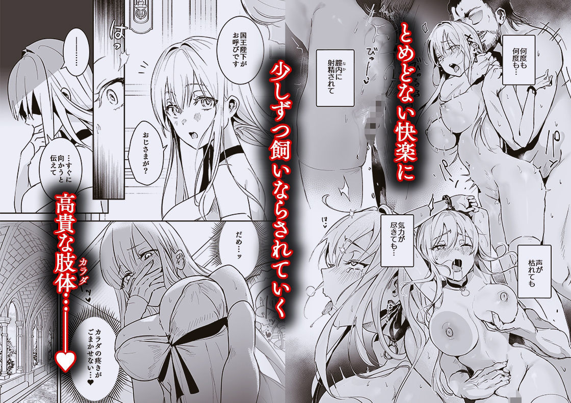 王女陥落2 | 同人CG・同人作品紹介 | 同人倶楽部