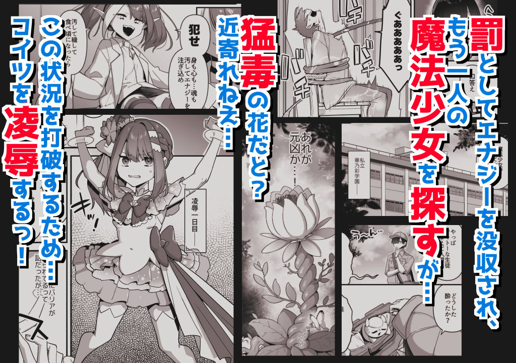 悪の手先になったので。〜魔法少女を凌●します〜3前編 | 同人CG・同人作品紹介 | 同人倶楽部