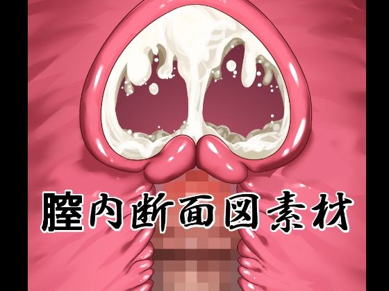 膣内断面図素材 | イラスト・CG集 | 同人倶楽部