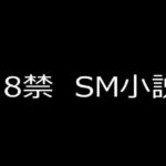 SM小説23 令嬢哀奴 寝取られ牝の悲劇 | 拘束 | 同人倶楽部